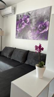 Apartman Pčelica Sombor - Sombor - 7