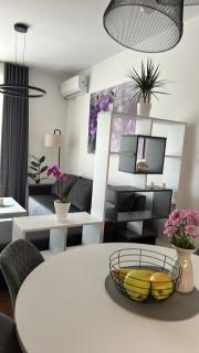 Apartman Pčelica Sombor - Sombor - 8