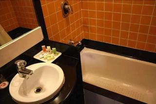 hotel near airoprt - Nuova Delhi - 3