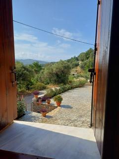 Olive Stone - Kamisianá - 2
