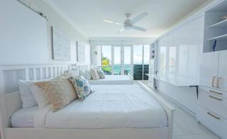 Oceanview Sub Penthouse, Walk to Beach & Pool - San Juan - 1