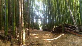 Tadoan - Vacation STAY 16923 - - 3