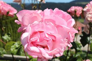 Gite chez Isabelle - 2