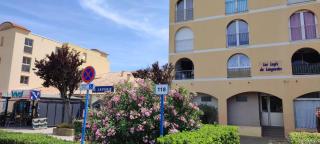 T2 sur le port de plaisance de Gruissan - Gruissan - 1