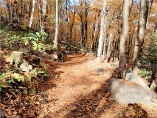 Cozy Stay with Balcony, BBQ & Trails, Near Lake Lyster - Coaticook - 8