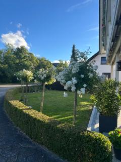 Gemütliche Ferienwohnung im Hunsrück - Dill - 6
