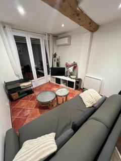 Appartement T3 avec jardin - Tolone - 9