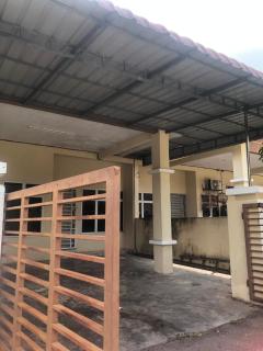 413 Wallagonia - Tapah - 6