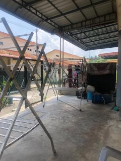 413 Wallagonia - Tapah - 3