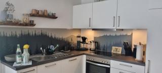 Waldgeflüster Schluchsee 2-Zi-DesignOase mit Terrasse im Neubau - Schluchsee - 3