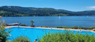 Waldgeflüster Schluchsee 2-Zi-DesignOase mit Terrasse im Neubau - Schluchsee - 9
