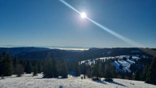 Waldgeflüster 2-Zi-DesignOase mit Terrasse und Tiefgarage im Neubau - 8