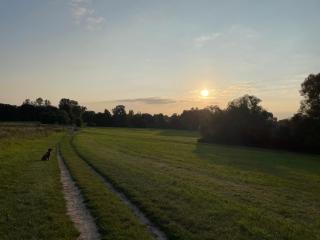 Stilvolles Naturidyll bei Berlin - 7