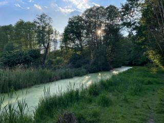 Stilvolles Naturidyll bei Berlin - 6