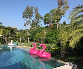Villa Amnesia Cap dAntibes with Pool and luxurious Garden - Antibes - 9