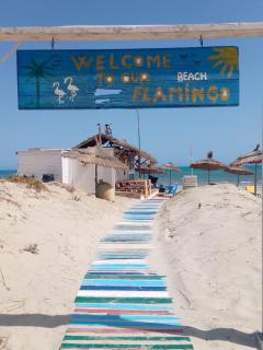 Hotel FLAMINGO BEACH - 8