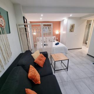 Spacious studio full of charm, recently updated - Nice - 0