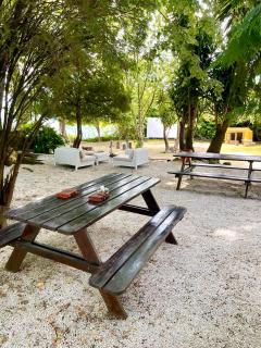 Quinta da Cumieira - Cumieira - 8