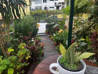 Terra Chã Cottage,FEEL Home, - São Vicente - 9