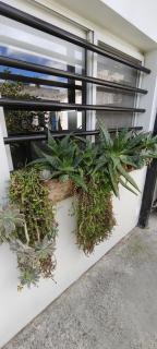 seven colors apartment - Tandil - 8