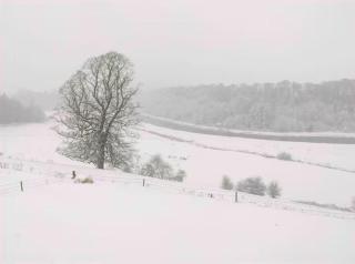 Katie's View - Cahir - 4