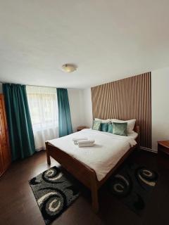 Casa Ursu - Cârțișoara - 5