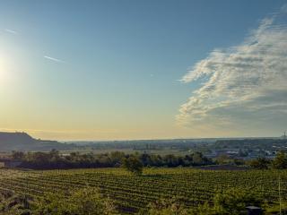Danube Hills 319 - Krems an der Donau - 8