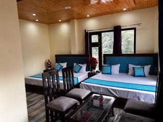 Atithi Home Stay - Himalayas view - 7