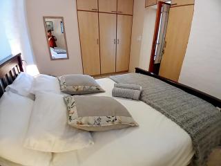 Westford birds nest - 4