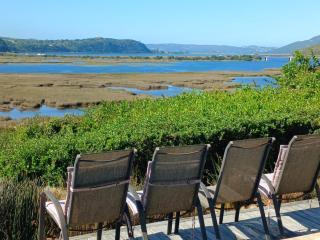 Westford birds nest - Knysna - 7