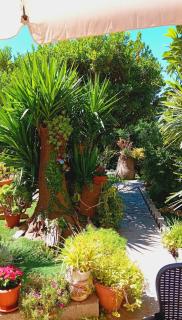 B&B Giomar Sardegna Nord Ovest - Campanedda - 9
