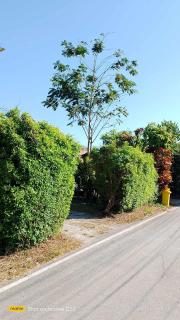 บ้านสโนว์เขาค้อ - - 0
