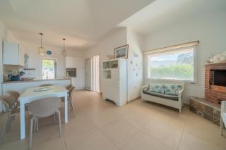 Sogno d'estate - Reitani - 5