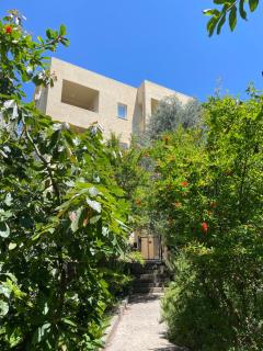 Apartmani Agape - Petrovac na Moru - 8
