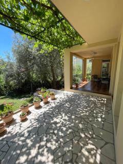 Apartmani Agape - Petrovac na Moru - 3
