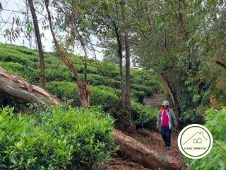Lucky Homestay Nuwara Eliya - Nuwara Eliya - 5