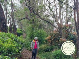 Lucky Homestay Nuwara Eliya - Nuwara Eliya - 6