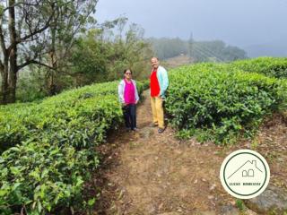 Lucky Homestay Nuwara Eliya - Nuwara Eliya - 7