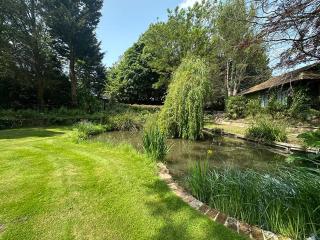 Forest Studio Apt free gated Parking on 2 acres Garden - Chislehurst - 4