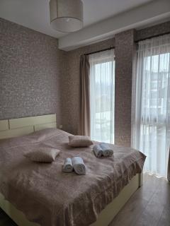 Cozy Apartment 202 in Bakuriani Tsakadze st20 - 1