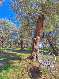 Coratina Cottage - 7