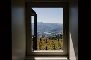 Casa da Quinta de Santa Cruz - Private Pool - Douro Valley - by MET - Loureiro - 8