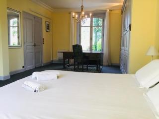 Villa Castalie - Maison de maître, grande piscine et jacuzzi, classée 5 étoiles - Montrichard - 2