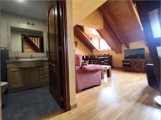 CHECK-IN CASAS Arasan - Benasque - 7