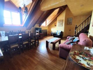 CHECK-IN CASAS Arasan - Benasque - 9