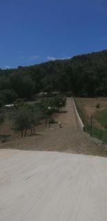 Guest House l'orto di Antonio - Palinuro - 8