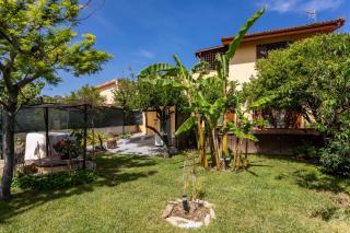 Long Green House - Sorso - 1