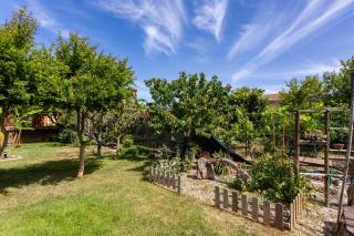 Long Green House - Sorso - 5