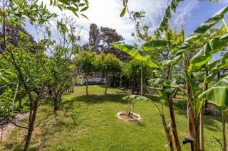 Long Green House - Sorso - 7