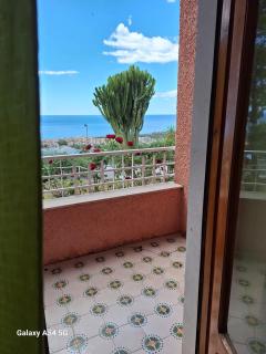 Hotel Pian delle Vigne - Praia a Mare - 5